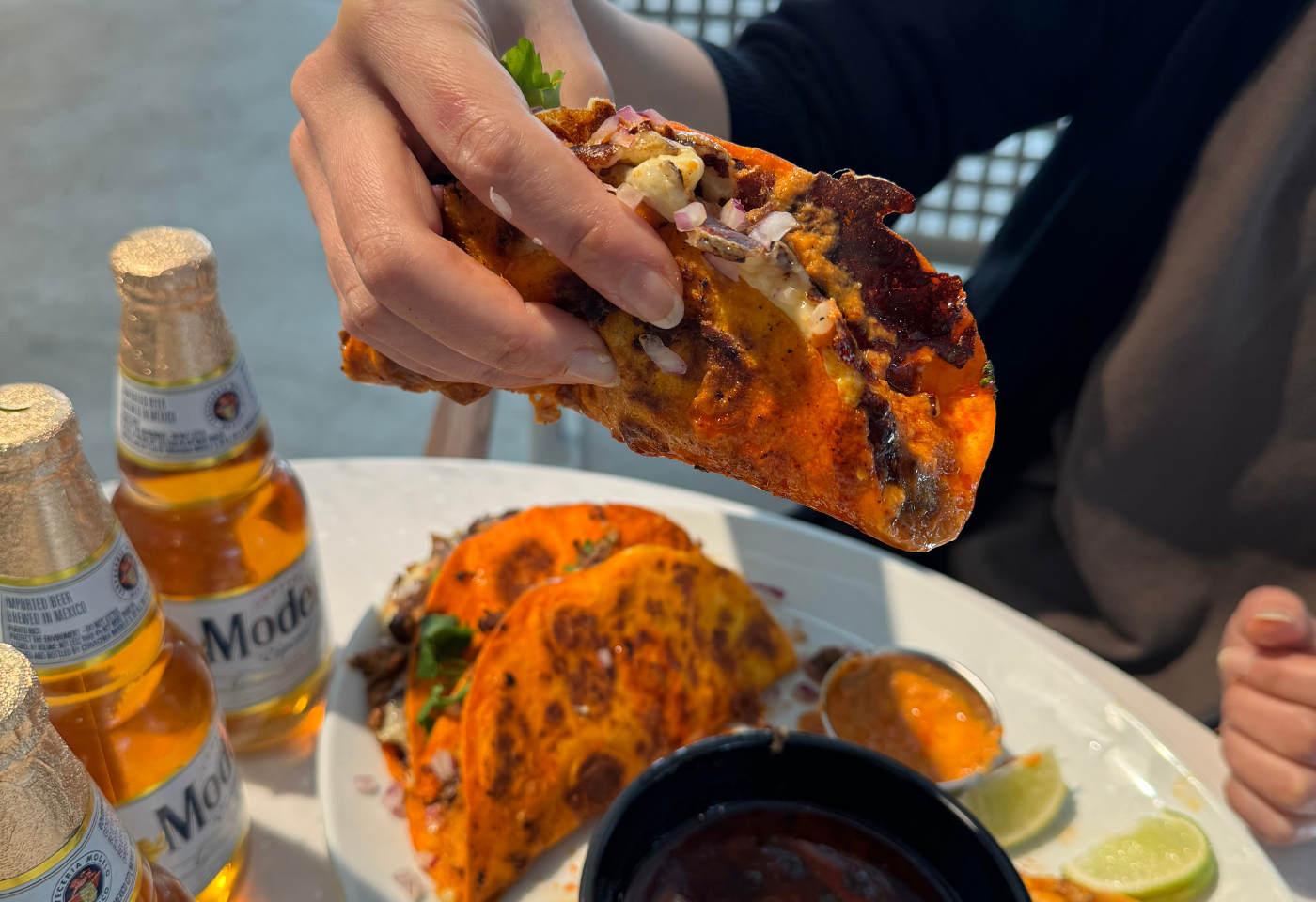 Taco Dapur MASUK BIRU